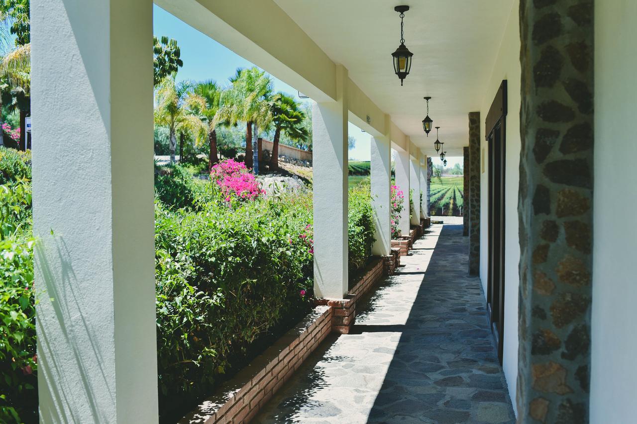 Hacienda Guadalupe Hotel Ngoại thất bức ảnh