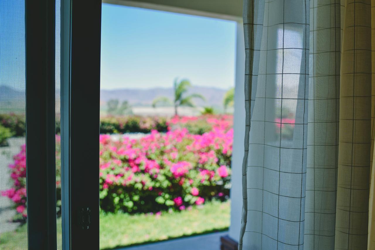Hacienda Guadalupe Hotel Ngoại thất bức ảnh